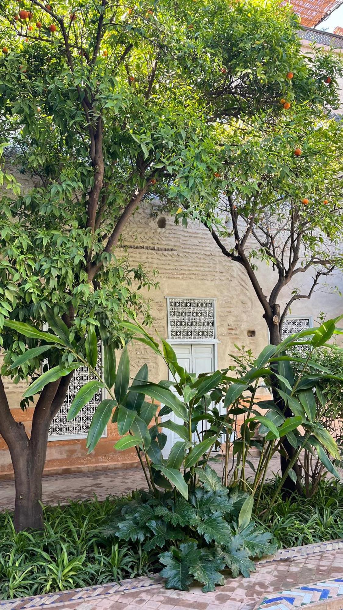 Riad Laila Marrakesh Ngoại thất bức ảnh