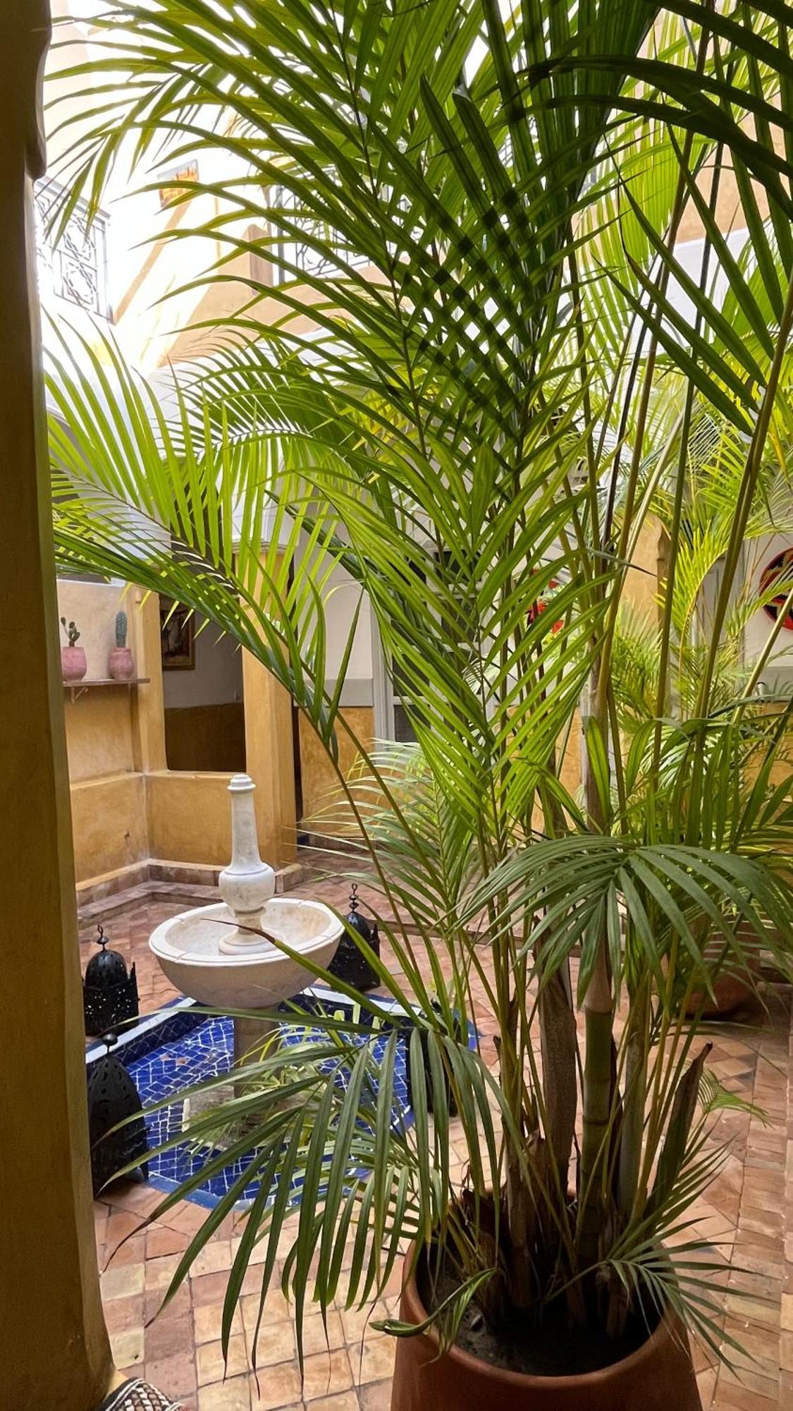 Riad Laila Marrakesh Ngoại thất bức ảnh